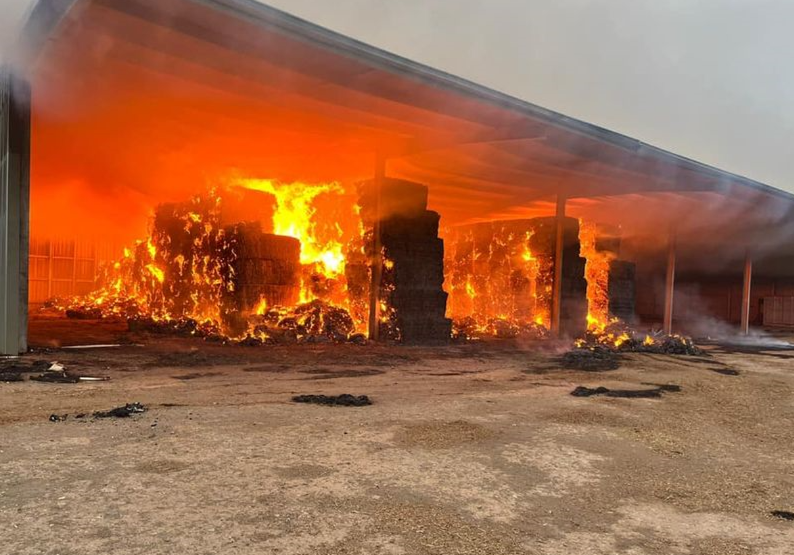 Rain-affected haystacks could increase the chance of spontaneous combustion